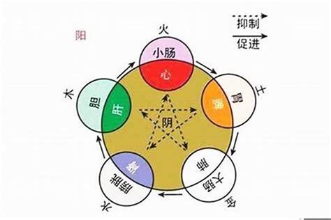 我五行屬什麼|如何知道一個人的五行屬什么